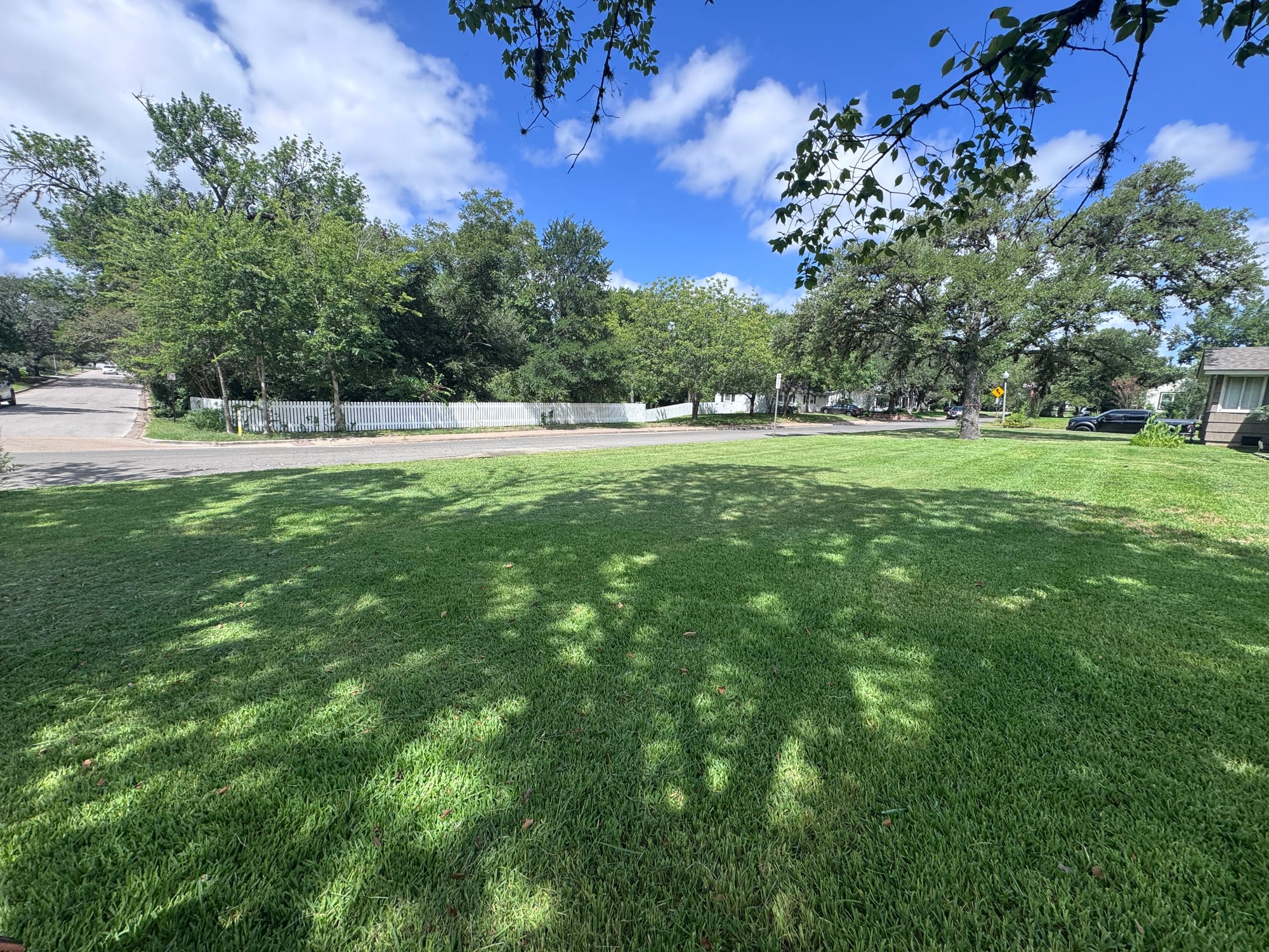 Shaded Residential Lawn in Bryan residential property