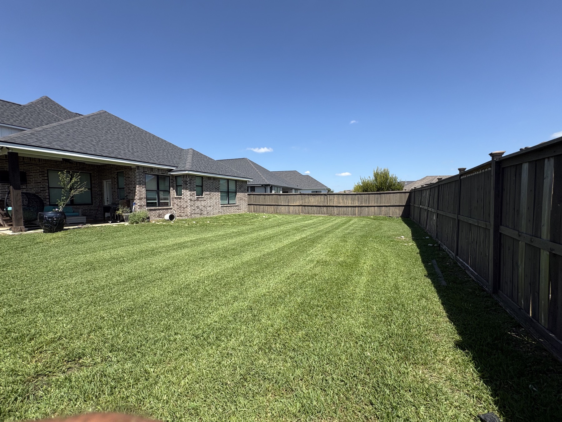 Backyard lawn maintenance